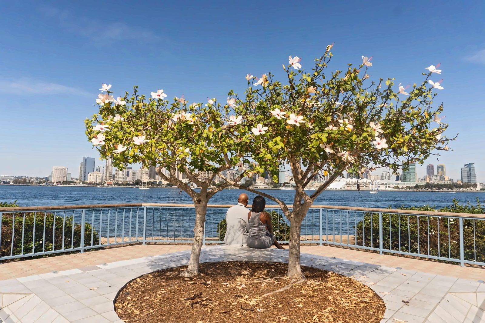 Wide view of a flowering tree with the couple seated beneath it facing the skyline