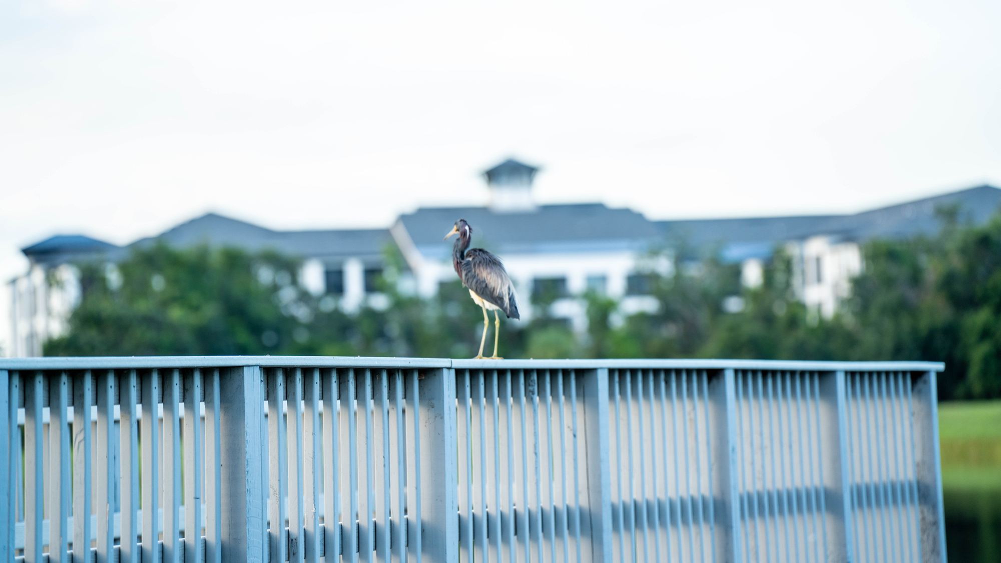 Waterline photography series